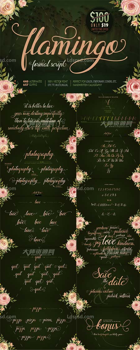 Flamingo - formal script (80% OFF),极品英文字体－火烈鸟字集